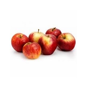 Les fruits Pomme Gala bio- Kg VERGER MITAN CRANNE