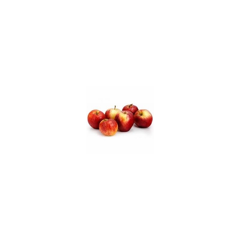 Les fruits Pomme Gala bio- Kg VERGER MITAN CRANNE Les fruits Pomme Gala bio- Kg VERGER MITAN CRANNE