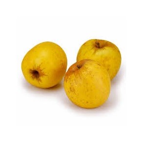 Pommes, poires et kiwis-Pomme Biologique -Opale au Kg-VERGER MITAN CRANNE