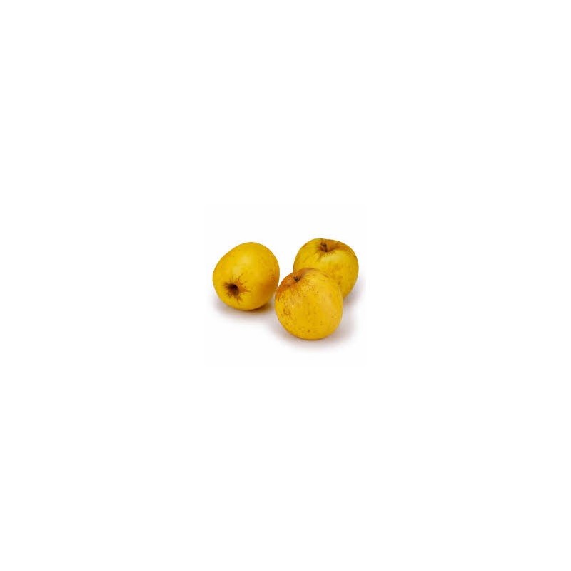 Les fruits d'ici-Pomme Biologique -Opale au Kg-VERGER MITAN CRANNE Les fruits d'ici-Pomme Biologique -Opale au Kg-VERGER MITAN CRANNE