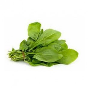 Herbes aromatiques Oseille biologique- la botte LEGUMES DE VALBO