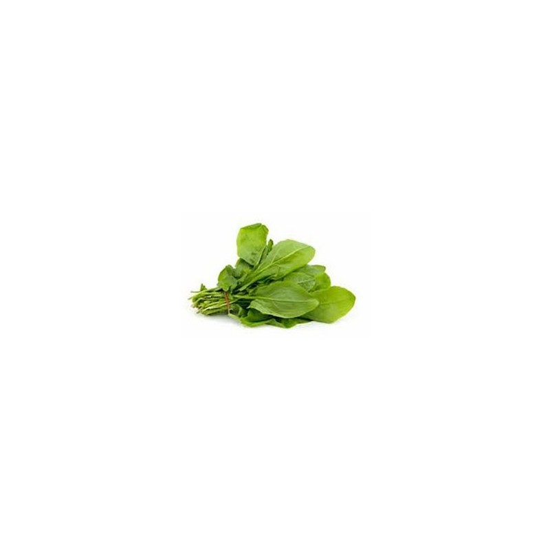 Herbes aromatiques Oseille biologique- la botte LEGUMES DE VALBO Herbes aromatiques Oseille biologique- la botte LEGUMES DE VALBO