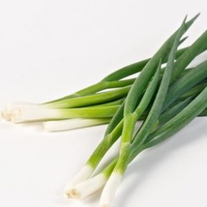 Ail, oignons et échalotes Oignon ciboulle bio - la botte LEGUMES DE VALBO