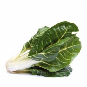 Légumes biologiques-Blette biologique- le pied-RONAN LE GALL