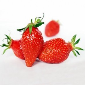 Les fruits d'ici fraise Extra SAVEOL - 250 g SUBERY NON BIO