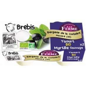 Yaourts (brebis)-Yaourt fermier myrtille bio-Brebis-BERGERIE DE LA CORBIERE