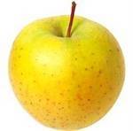 Fruits frais Pomme Biologique -Goldrush kg VERGER MITAN CRANNE