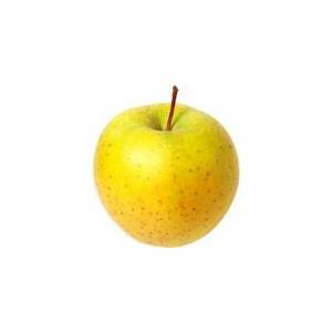 Fruits frais Pomme Biologique -Goldrush kg VERGER MITAN CRANNE