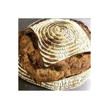 Petite tourte BIO - 550 grsPains spéciauxTRADEOZ