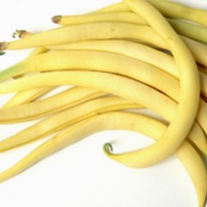 Fruits et légumes Haricot beurre bio-500 g LEGUMES DE VALBO