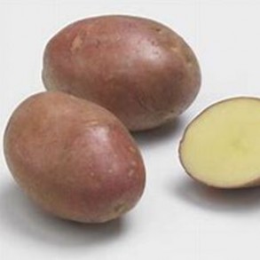 Poireaux, pommes de terre Pomme de terre désirée -1kg GAEC BOCEL NON BIO