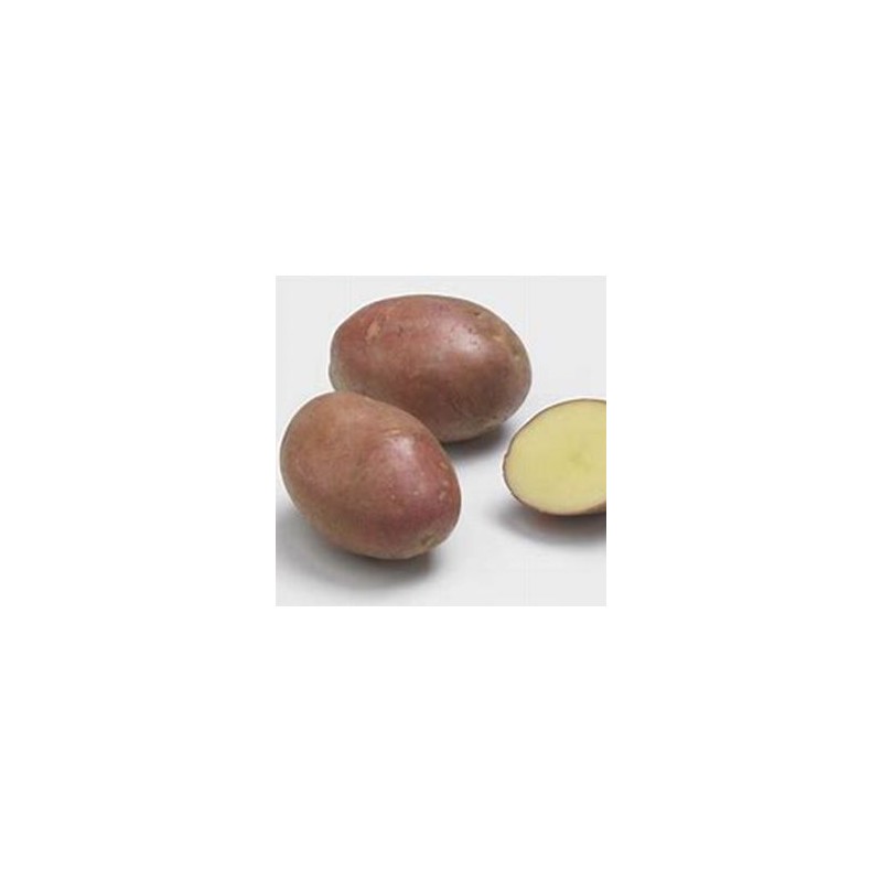 Poireaux, pommes de terre Pomme de terre désirée -1kg GAEC BOCEL NON BIO Poireaux, pommes de terre Pomme de terre désirée -1kg GAEC BOCEL NON BIO