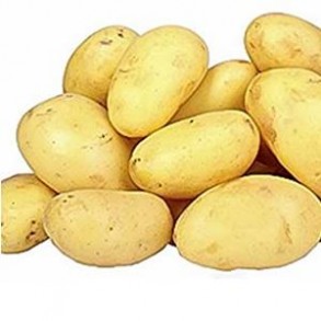 Poireaux, pommes de terre-Pomme de terre Azilis bio-1kg-LEGUMES DE VALBO