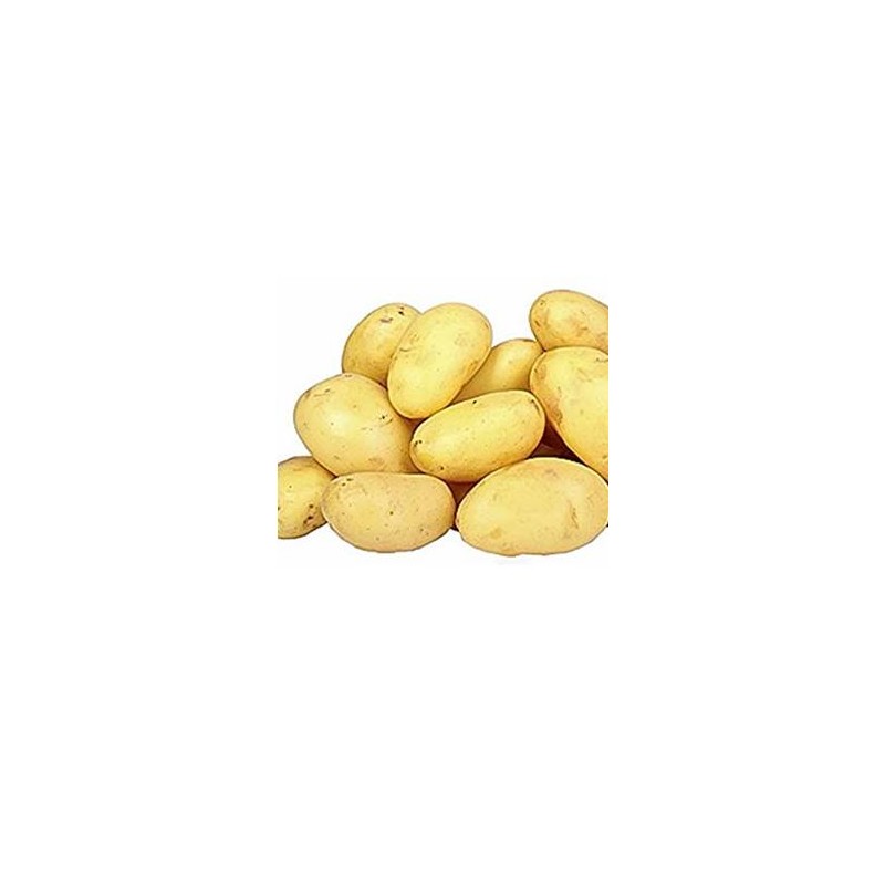 Poireaux, pommes de terre-Pomme de terre Azilis bio-1kg-LEGUMES DE VALBO Poireaux, pommes de terre-Pomme de terre Azilis bio-1kg-LEGUMES DE VALBO