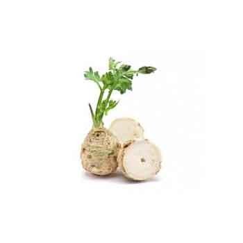 Divers légumes Celeri rave BIO- pièce RONAN LE GALL