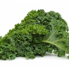 Légumes biologiques-Chou Kale bio - le kg-GABILLARD EARL
