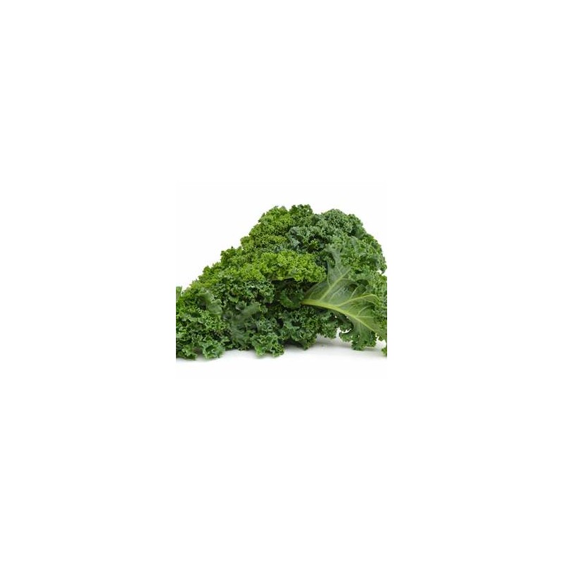 Légumes biologiques-Chou Kale bio - le kg-GABILLARD EARL