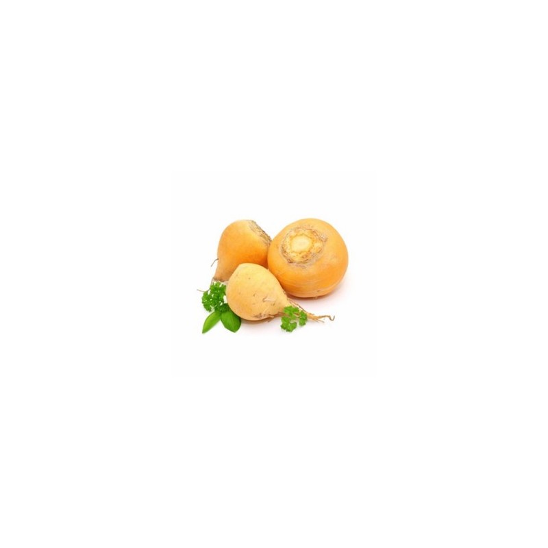 Carottes, Betteraves, navets Le navet jaune bio - 500 grs BIO RENNES Carottes, Betteraves, navets Le navet jaune bio - 500 grs BIO RENNES