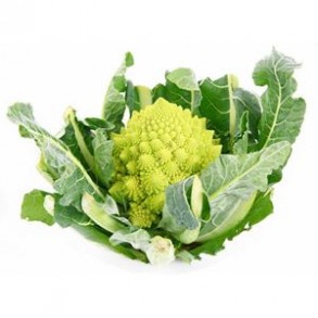 Choux, radis ... Chou Romanesco bio- la pièce GABILLARD EARL