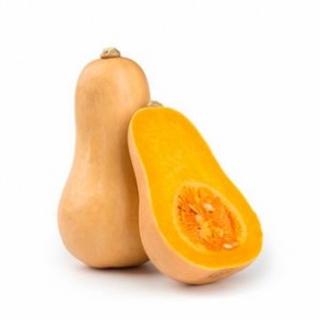 Potimarron, courges butternut (BOCEL)- Pièce GAEC BOCEL NON BIO