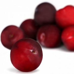 Les fruits Prune (rouge) BIO- kg BIO RENNES