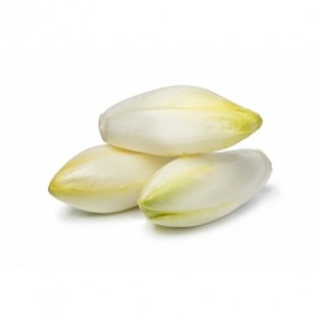Salades Endive par 500 g SUBERY NON BIO