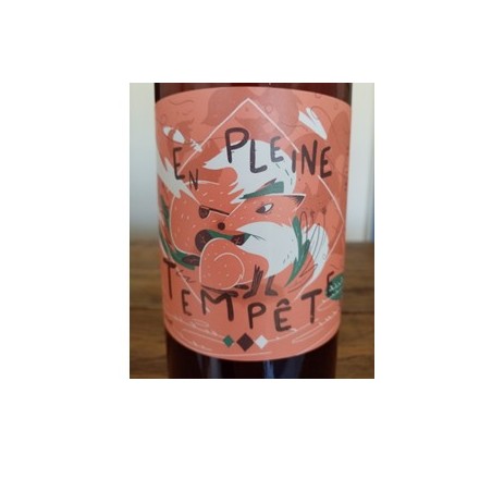 Bière Ambrée bio-en pleine tempête- 33 clBières bio localesBRASSERIE DU VIEUX SINGE