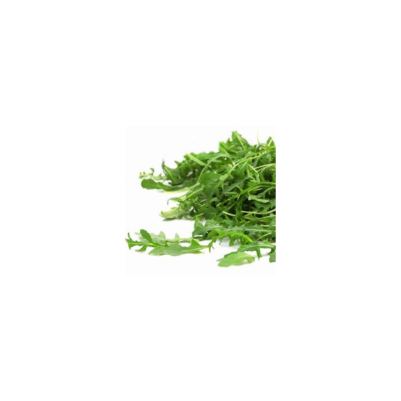 Salades, herbes aromatiques-Roquette biologique- la botte-RONAN LE GALL