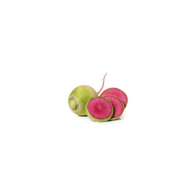 Choux, radis ... Radis Red MEAT- 500 G ENV RONAN LE GALL Choux, radis ... Radis Red MEAT- 500 G ENV RONAN LE GALL