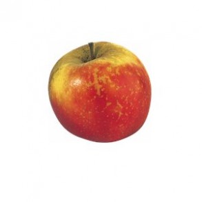 Les fruits d'ici Pomme Biologique -Jubilee au kg VERGER MITAN CRANNE