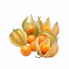 Les fruits d'ici-Physalis Biologique - 200 grs-LEGUMES DE VALBO