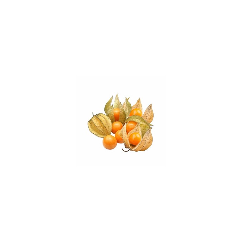 Les fruits d'ici-Physalis Biologique - 200 grs-LEGUMES DE VALBO Les fruits d'ici-Physalis Biologique - 200 grs-LEGUMES DE VALBO