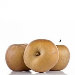 Les fruits d'ici Pomme Canada Bio- Kg VERGER MITAN CRANNE