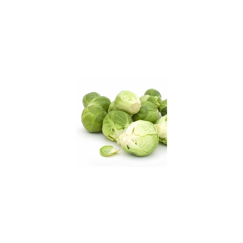 Choux, radis ... Choux de Bruxelles biologiques-500g GABILLARD EARL Choux, radis ... Choux de Bruxelles biologiques-500g GABILLARD EARL