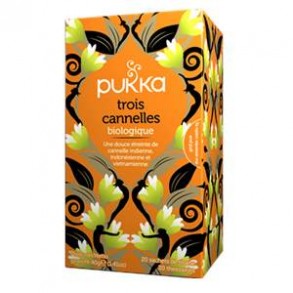 Produits Bio Infusion aux 3 cannelles Bio-20 sachets BIODIS