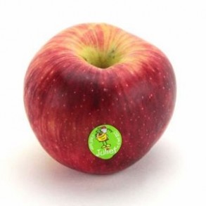 Les fruits d'ici Pomme Bio - Juliet au kg BIO RENNES