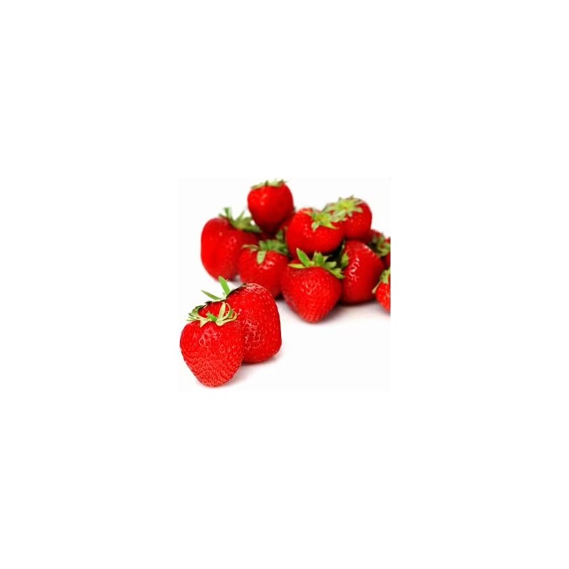Les fruits fraise biologique - 250 g BIO RENNES Les fruits fraise biologique - 250 g BIO RENNES