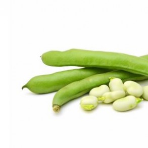 Légumes biologiques-Feve biologique- 500 g-LEGUMES DE VALBO