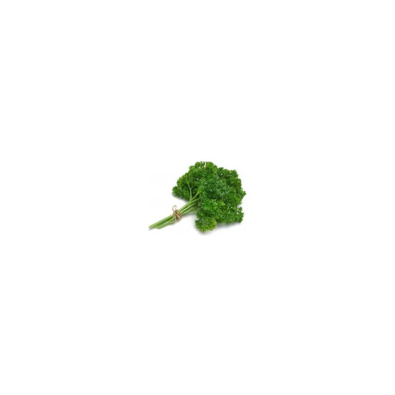Persil Frisé BIO- La BotteSalades et aromatesMarie et Ludovic