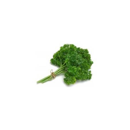 Persil Frisé BIO- La BotteSalades et aromatesMarie et Ludovic