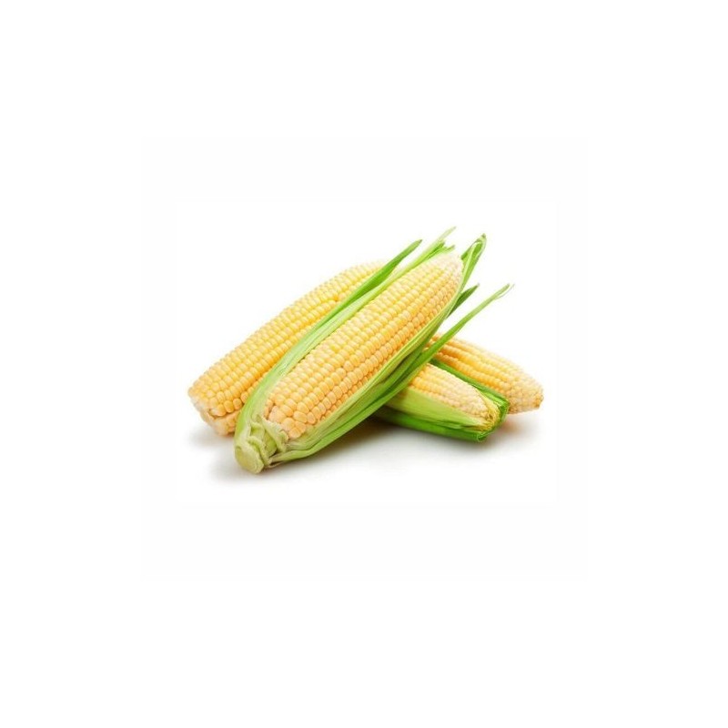 Divers légumes Maïs doux bio- la poupée GABILLARD EARL Divers légumes Maïs doux bio- la poupée GABILLARD EARL