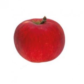 Les fruits d'ici Pomme akane bio - Kg VERGER MITAN CRANNE