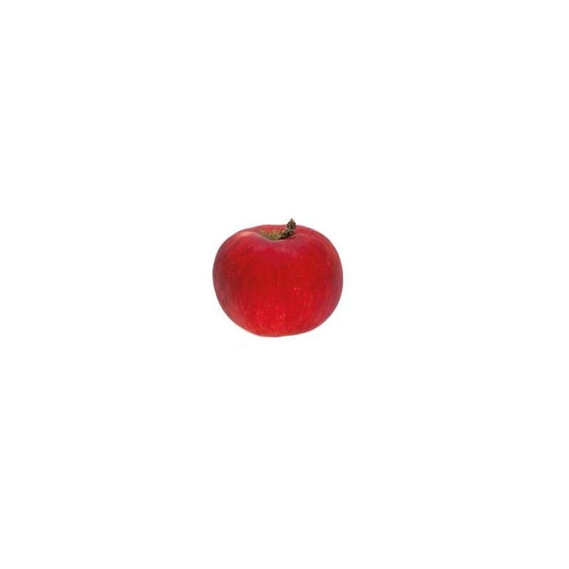 Les fruits d'ici Pomme akane bio - Kg VERGER MITAN CRANNE Les fruits d'ici Pomme akane bio - Kg VERGER MITAN CRANNE