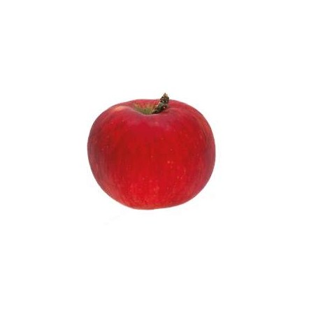 Pomme akane bio - KgLes fruitsVERGER MITAN CRANNE