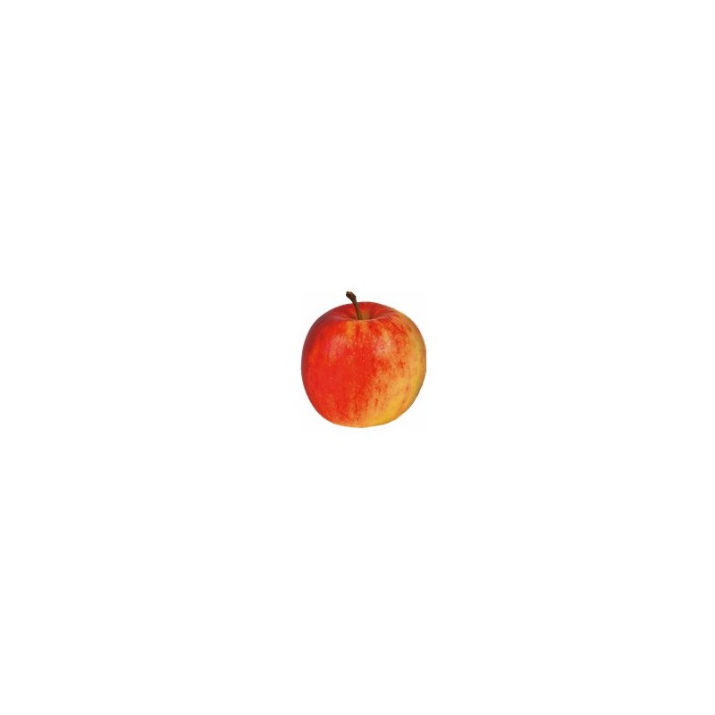 Les fruits d'ici Pomme Jonagold bio - Kg VERGER MITAN CRANNE Les fruits d'ici Pomme Jonagold bio - Kg VERGER MITAN CRANNE