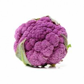 Légumes biologiques-Chou Fleur violet - bio-GABILLARD EARL