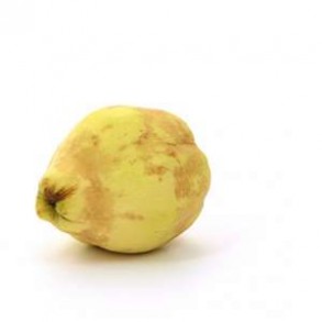 Fruits frais Coing proposé au kg SUBERY NON BIO