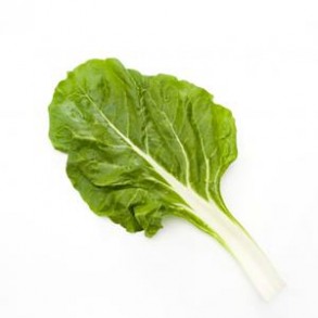 Légumes biologiques-Blette biologique- botte 500 g env-RONAN LE GALL