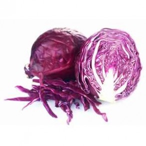 Choux, radis ... Chou rouge bio - Pièce de 950 grs env LEGUMES DE VALBO