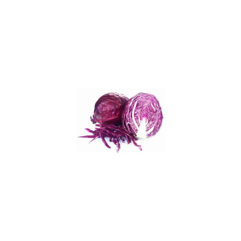 Choux, radis ... Chou rouge bio - Pièce de 950 grs env LEGUMES DE VALBO Choux, radis ... Chou rouge bio - Pièce de 950 grs env LEGUMES DE VALBO